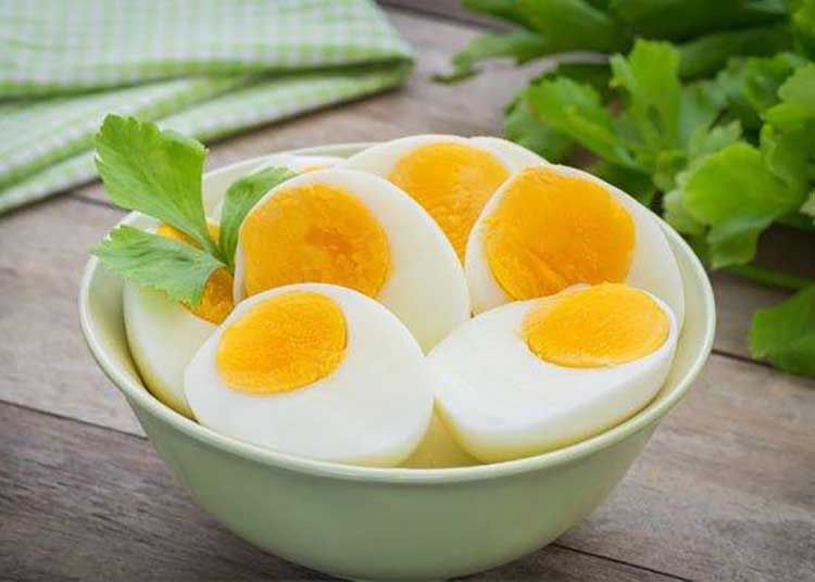 Kandungan Telur Ayam